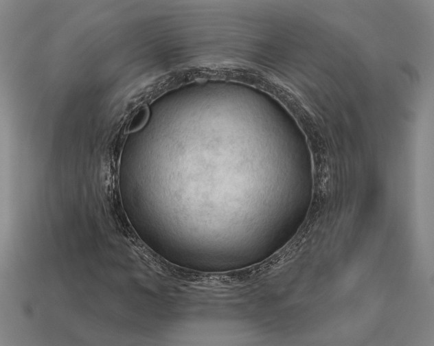 X0000112960966200909101629