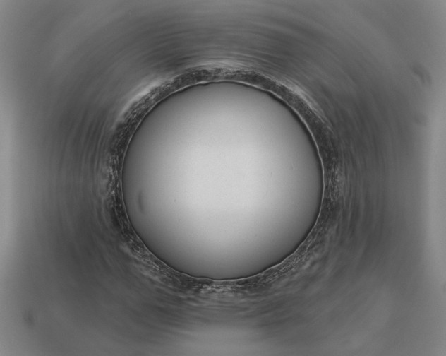 X0000112960967200909101629