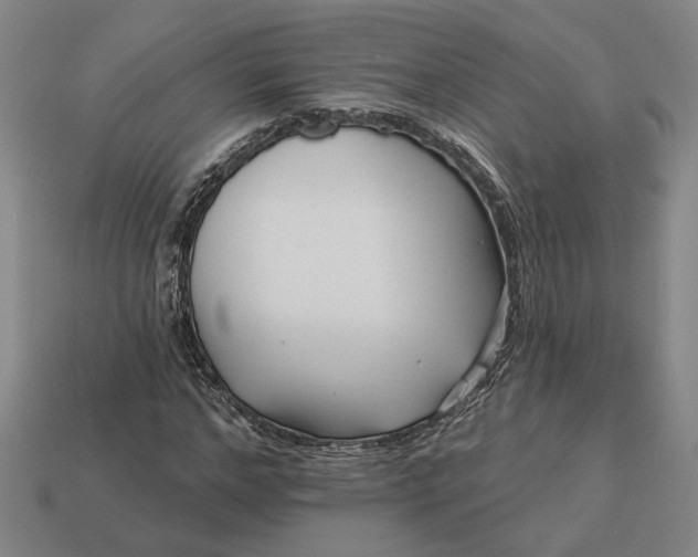 X0000112960968200909101629