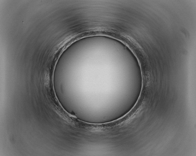 X0000112960969200909101629