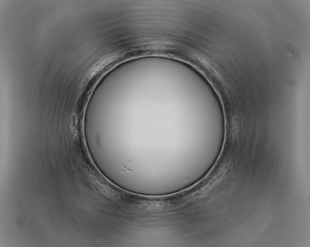 X0000112960970200909101629