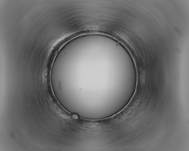 X0000112960971200909101629