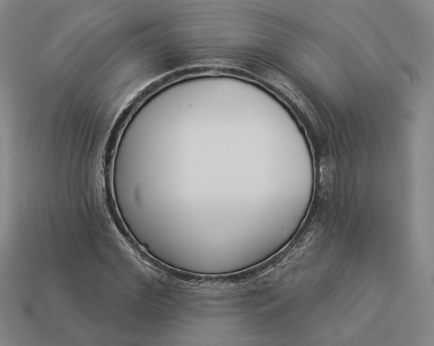 X0000112960972200909101629