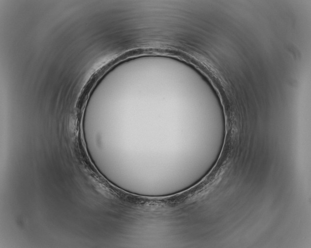 X0000112960974200909101629