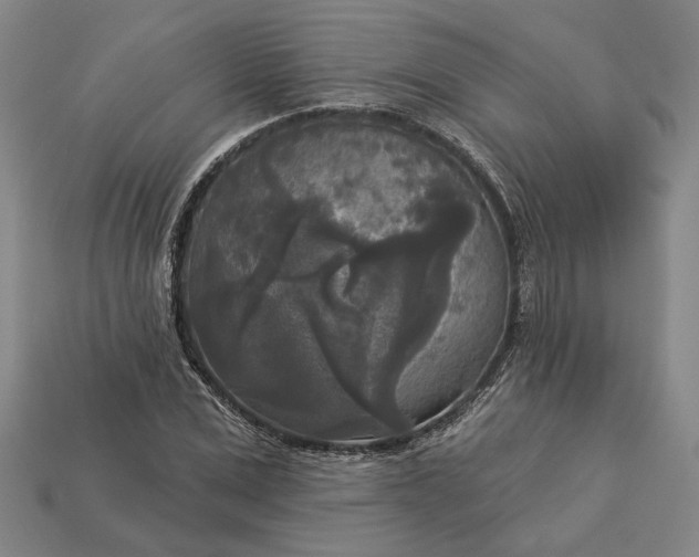 X0000112960975200909101629