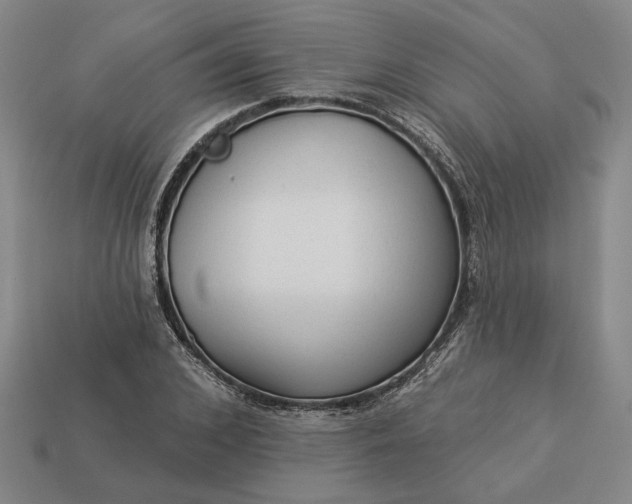 X0000112960976200909101629