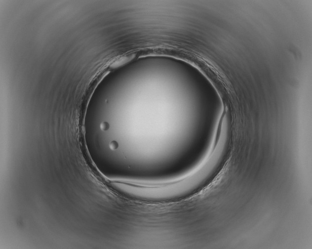 X0000112960977200909101629