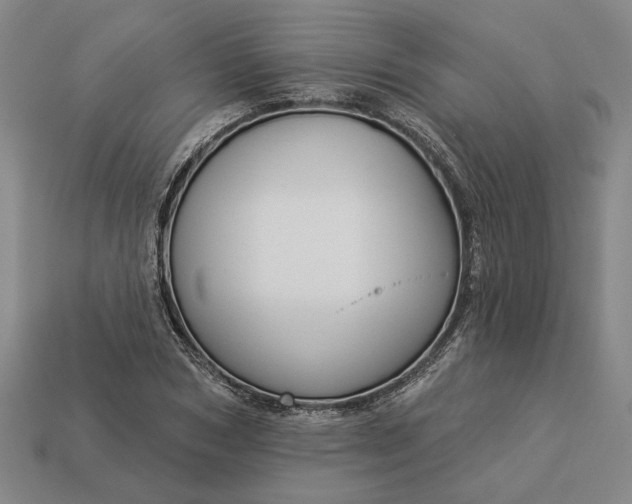 X0000112960978200909101629