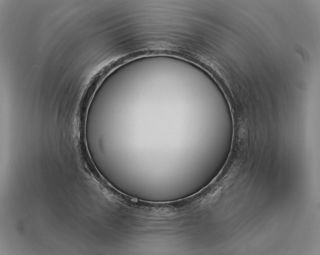 X0000112960979200909101629