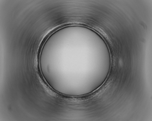 X0000112960980200909101629