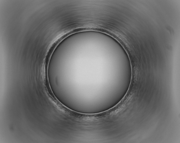 X0000112960982200909101629