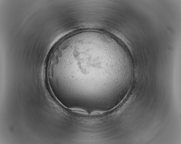 X0000112960983200909101629