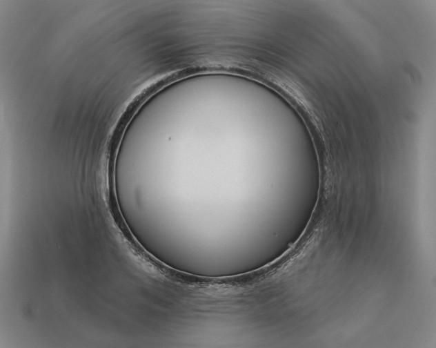 X0000112960984200909101629