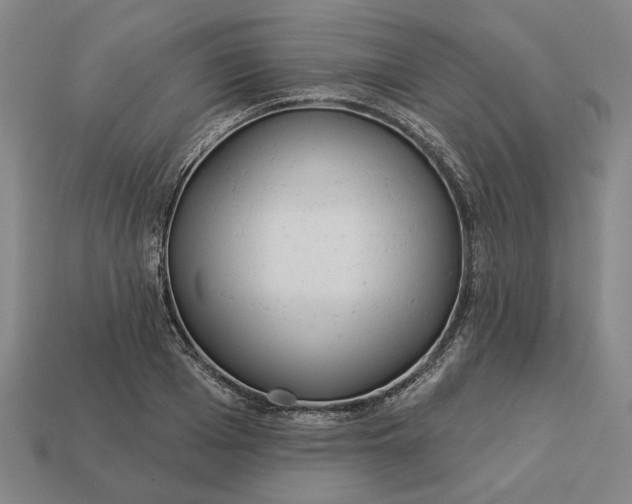 X0000112960985200909101629