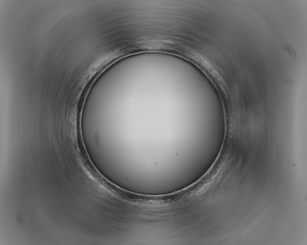 X0000112960986200909101629