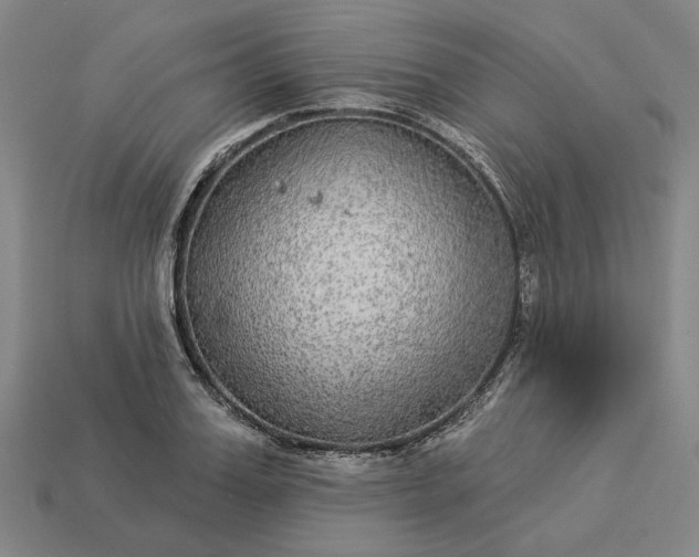 X0000112960987200909101629