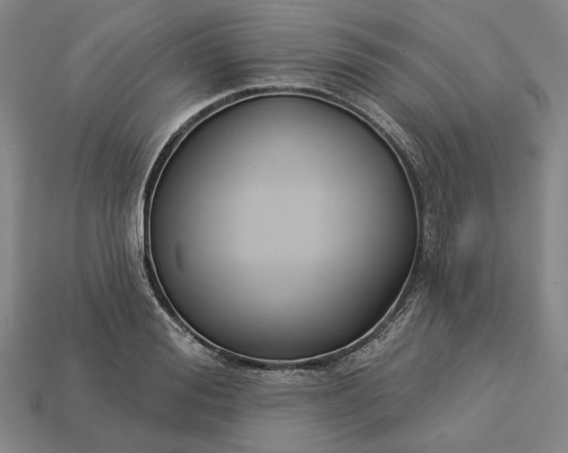 X0000112960988200909101629