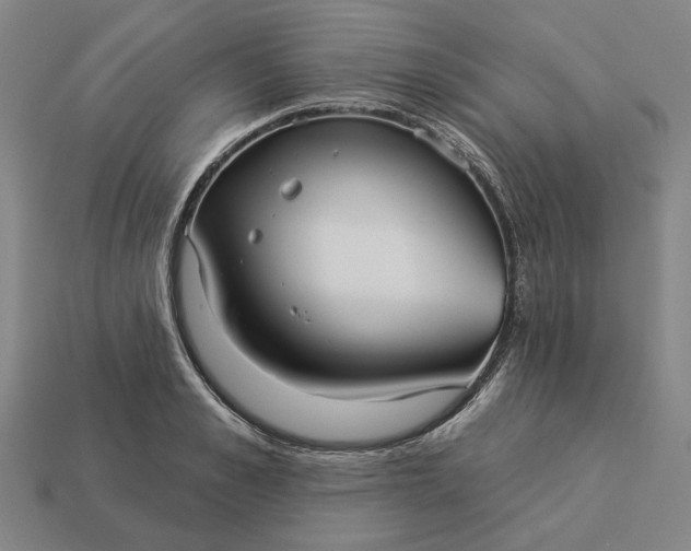 X0000112960989200909101629