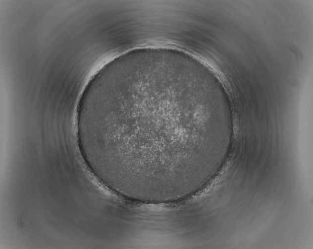 X0000112960990200909101629