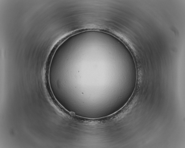 X0000112960991200909101629