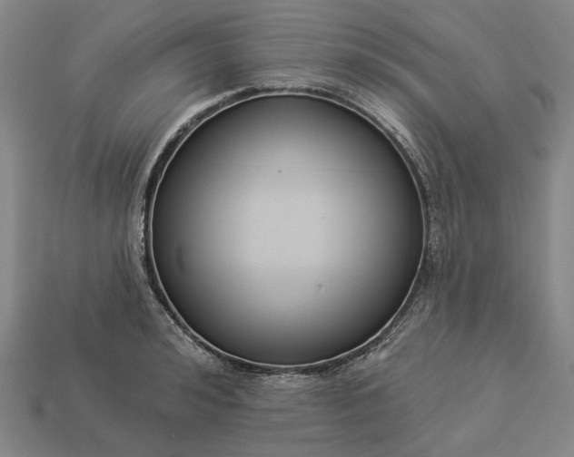 X0000112960992200909101629