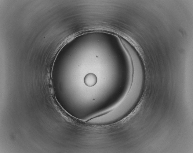 X0000112960993200909101629