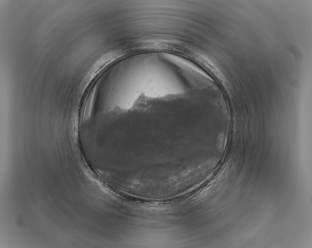 X0000112960994200909101629