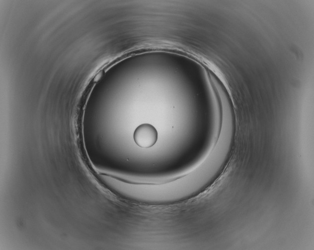 X0000112960997200909101629