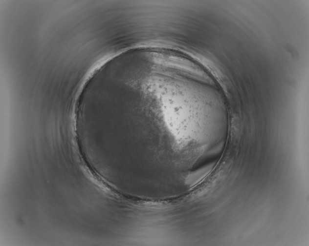 X0000112960998200909101629