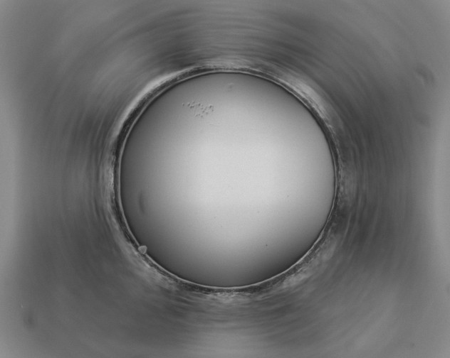 X0000112961000200909101629