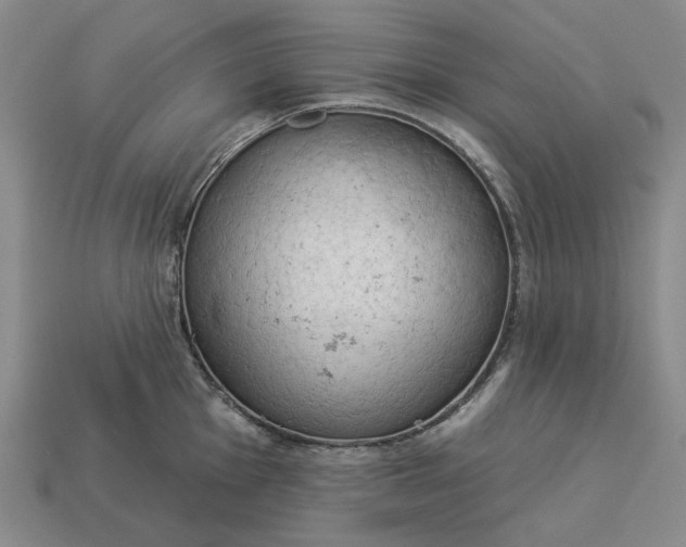 X0000112961001200909101629