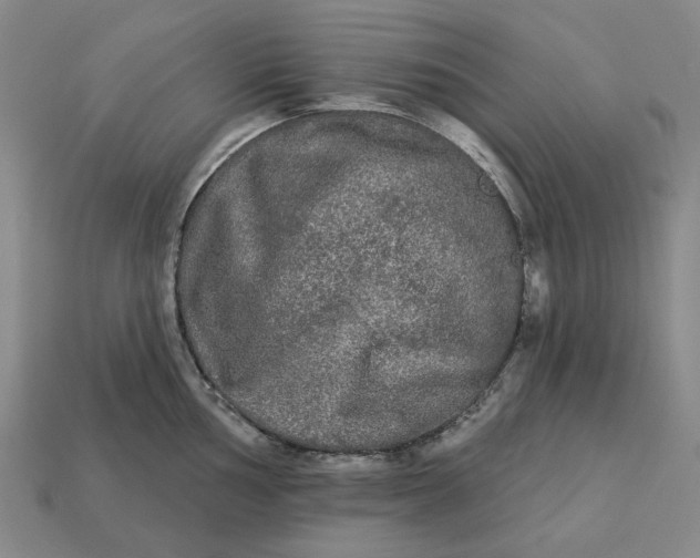 X0000112961002200909101629