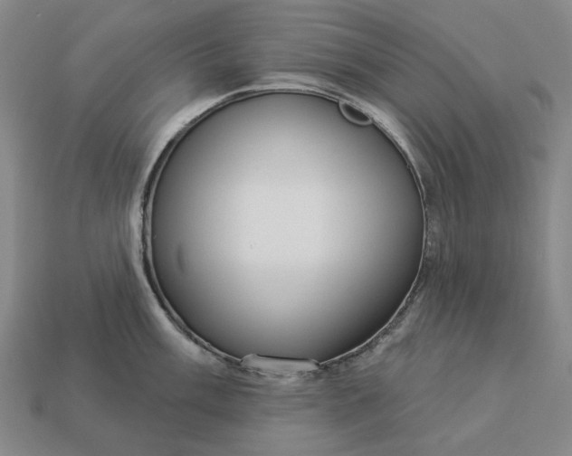 X0000112961003200909101629