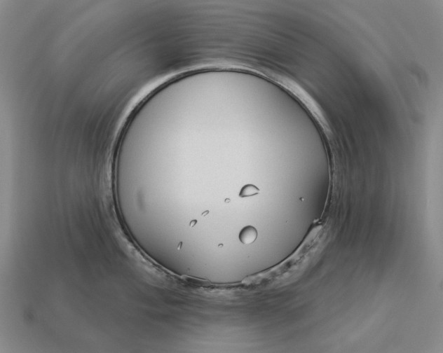 X0000112961004200909101629