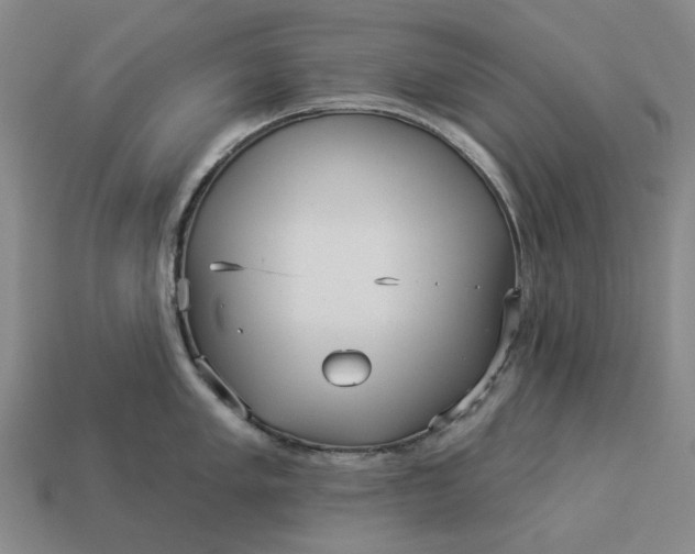 X0000112961005200909101629