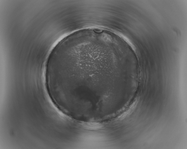 X0000112961007200909101628