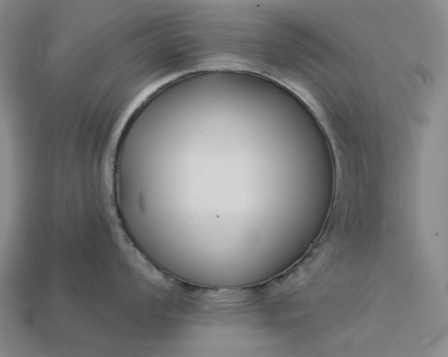 X0000112961008200909101628