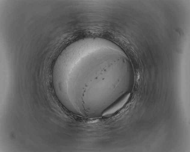 X0000112961009200909101628