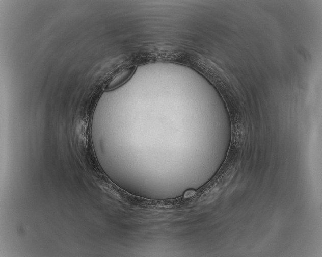 X0000112961010200909101628