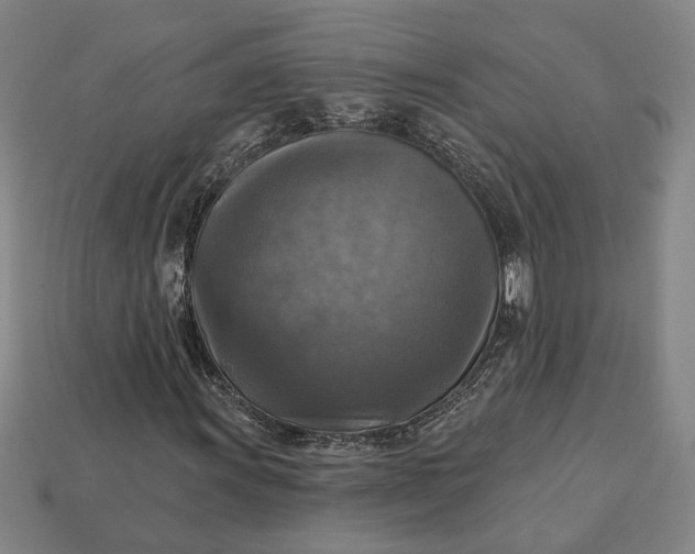 X0000112961011200909101628