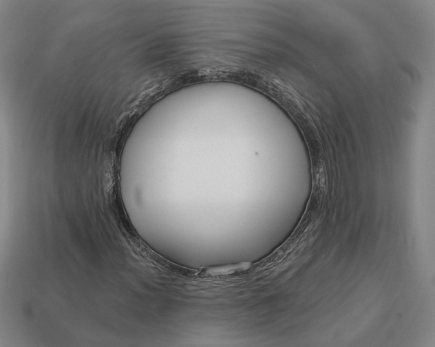 X0000112961012200909101628