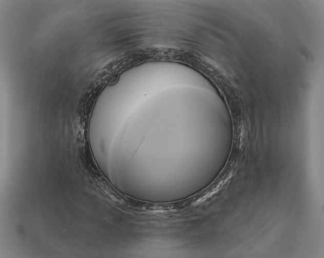 X0000112961013200909101628