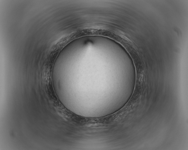 X0000112961014200909101628