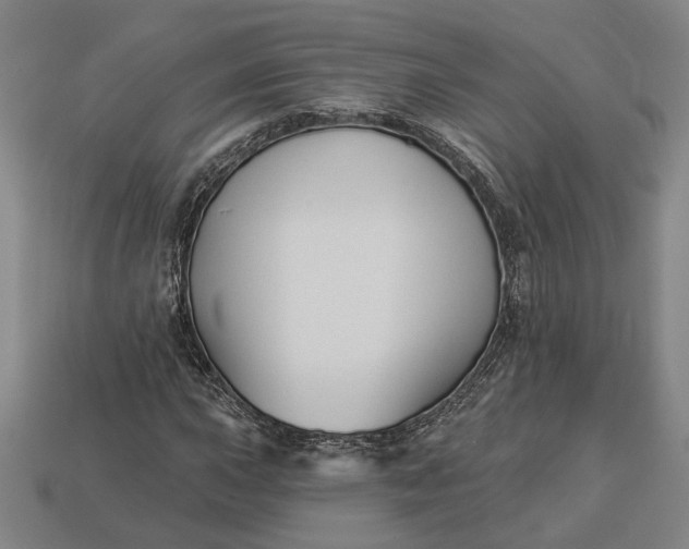 X0000112961015200909101628