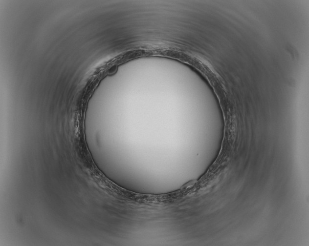 X0000112961016200909101628