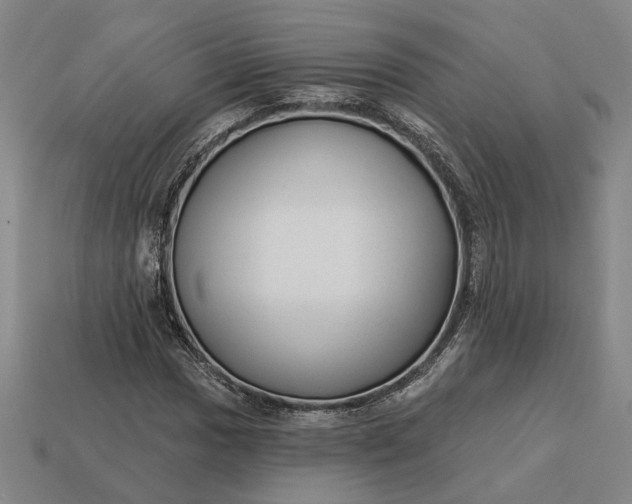 X0000112961017200909101628