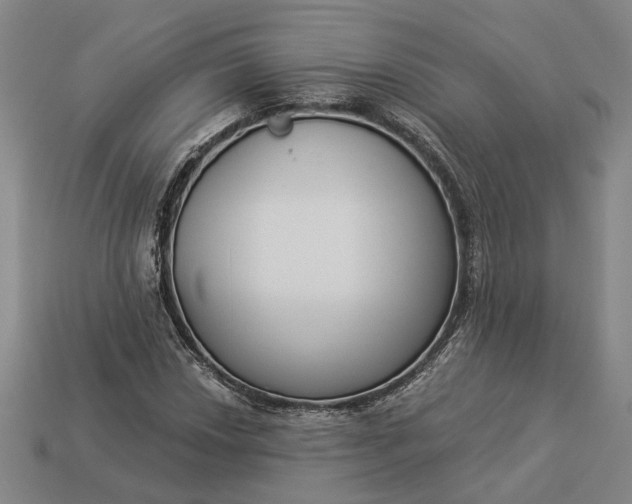 X0000112961018200909101628