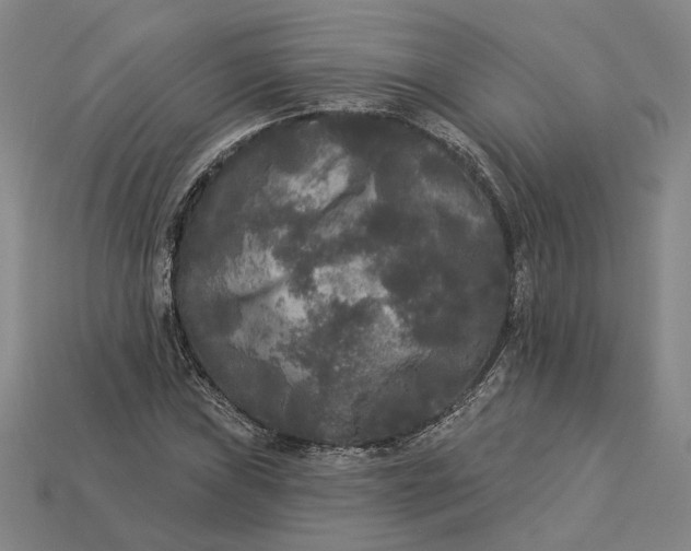 X0000112961019200909101628