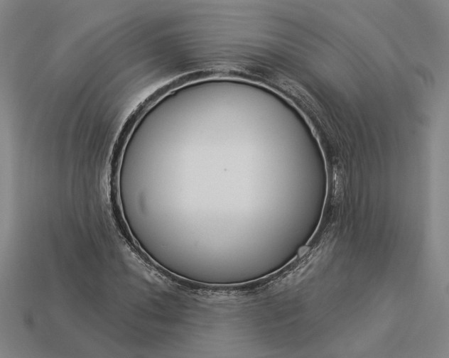 X0000112961020200909101628