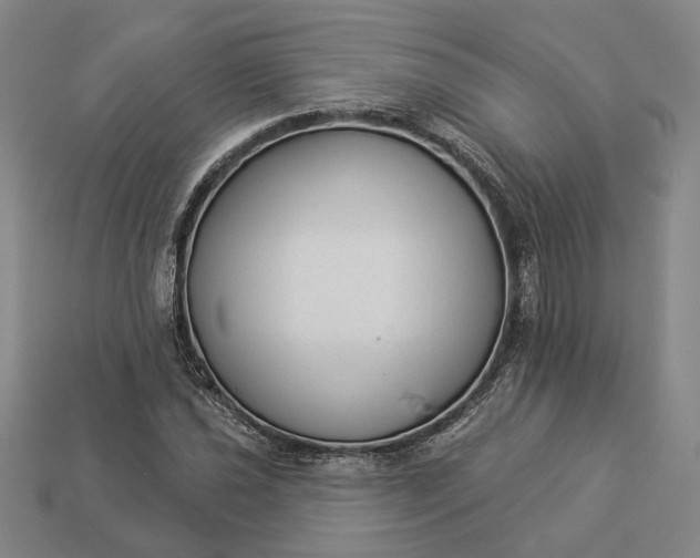 X0000112961021200909101628